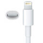 Nabíjecí a datový kabel - USB-A na Lightning - 1 m - bílý