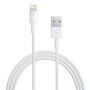 Nabíjecí a datový kabel - USB-A na Lightning - 1 m - bílý