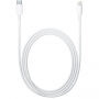 Originální Apple nabíjecí a datový kabel - USB-C na Lightning - 2 m - bílý