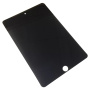 Tvrzené Anti-Spy sklo pro iPad mini 4 / 5