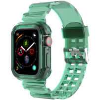 Odolné pouzdro s transparentním řemínkem pro Apple Watch 42mm (Series 10 / 11) - zelené