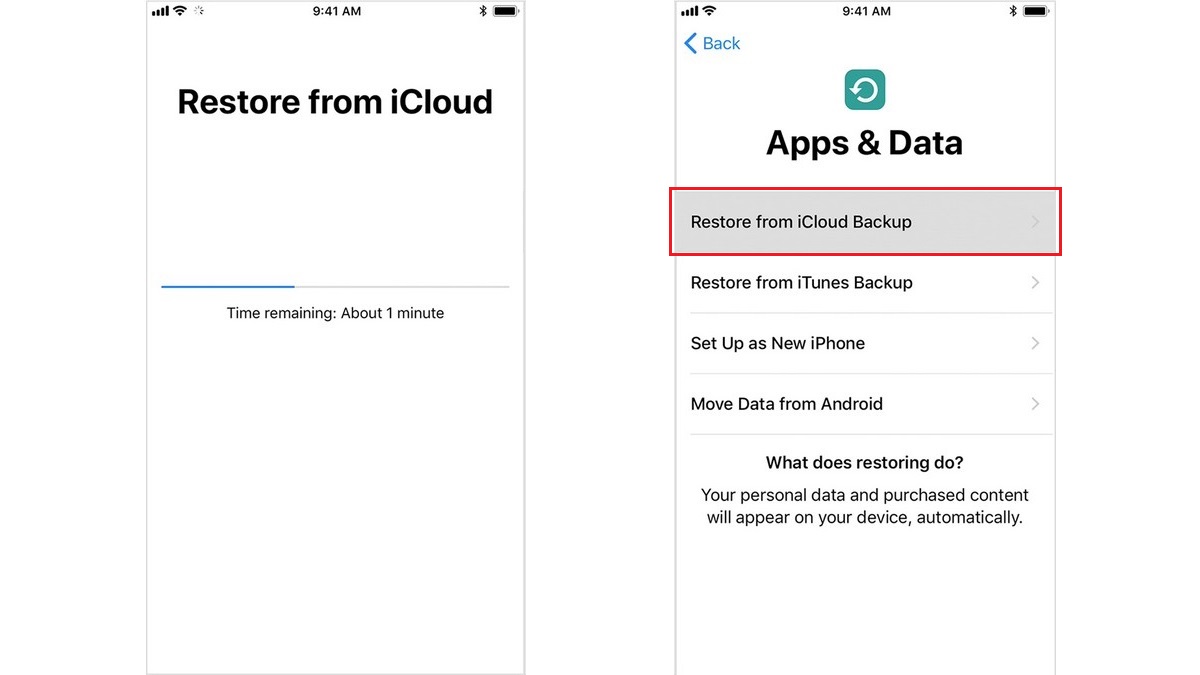 iPhone cum deblochezi iCloud